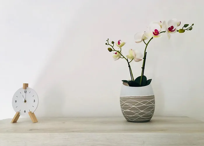 Apartamento La Maison De Famille